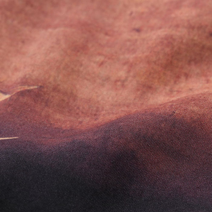 Lot No. SS39533 / SUN SURF × 伊藤若冲 SPECIAL EDITION “付喪神図”