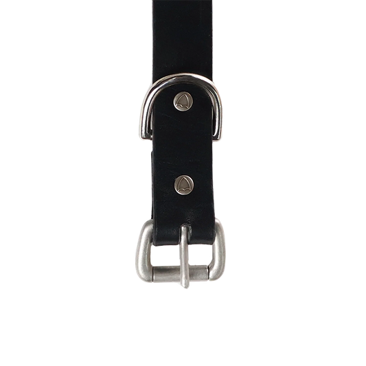 FULL COUNT 6216HTC Flower Studs Belt by Zip Stevenson HTC