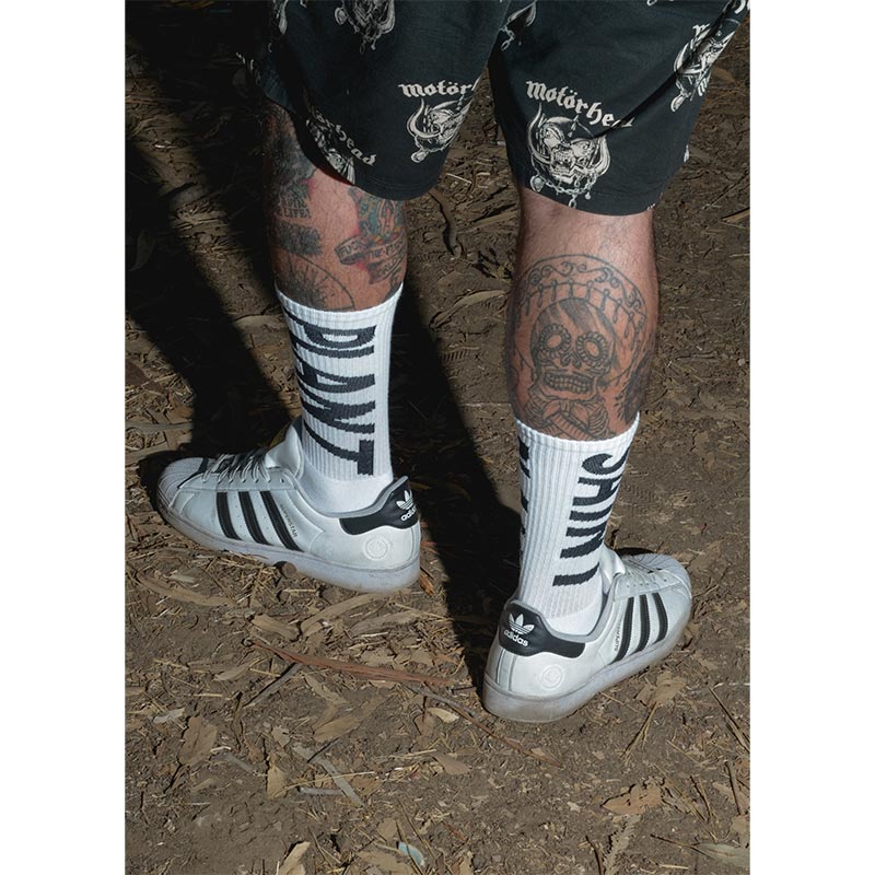 セントマイケル SM-YS1-0000-C13 CP_SOCKS / SNT PLANT / WHT メンズ Cactus Plant Flea Market コラボ ソックス