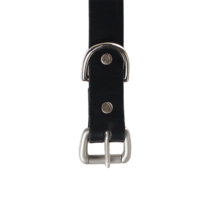 FULL COUNT 6216HTC Flower Studs Belt by Zip Stevenson HTC